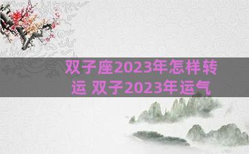 双子座2023年怎样转运 双子2023年运气